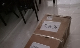 星艺153蕾诺儿头雕 开箱