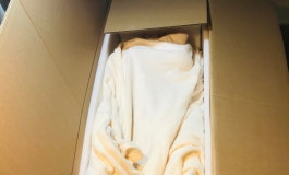 彼之良新体型2.2u至臻版植发海棠开箱