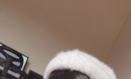 慵懒可爱的居家女孩 床头悠（10）