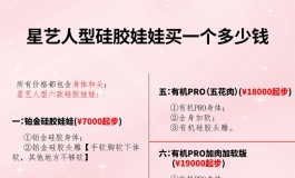 星艺人型两个头身一体四个版本