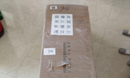 津旺，一款性价比最高的娃娃