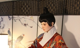 锦衣卫玄冰