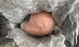 迟到的青稚148D+开箱及使用体验