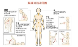 你最看中娃娃什么参数（调研）