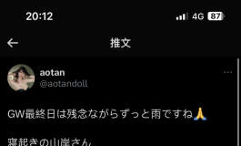 曼妙美少妇山岸逢花的床上内衣秀