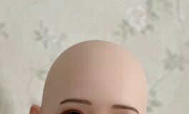 SHEDOLL 楚玥 158 开箱