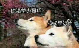 148洛小夕