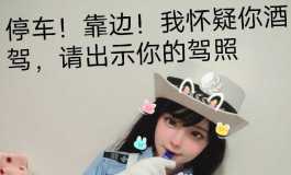 兔子警官好