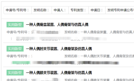 现有娃娃骨架的盆骨改进方案