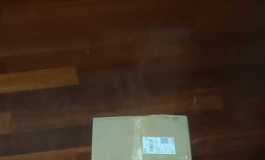 叁卉萌月开箱