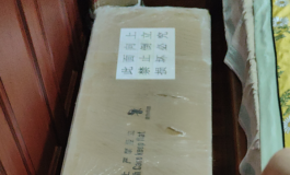 我的第一个实体娃娃——津旺·琳娜