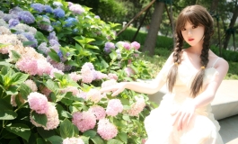 芊的夏日之无尽夏绣球花