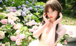 芊的夏日之无尽夏绣球花