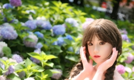 芊的夏日之无尽夏绣球花