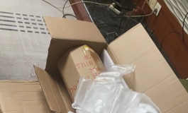 shedoll 开箱163硅胶楚琳