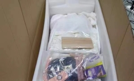 shedoll 开箱163硅胶楚琳