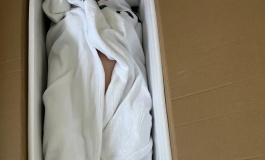 shedoll洛伊开箱