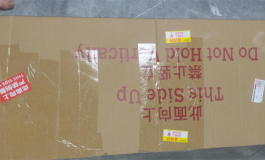 shedoll洛伊开箱