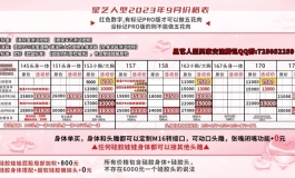 雅儿可动口测试（张嘴闭嘴）★星艺人型