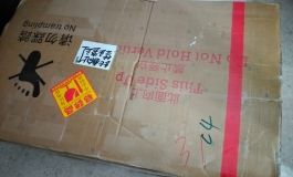 【萌新一血】彼之良，匣中少女，梨の入手初体验+小白心路