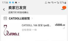 catdoll166 全松关节 到货两天 甩卖