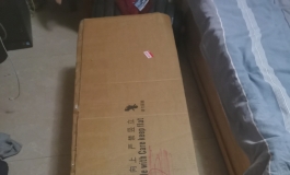 铁家Irontech Doll 166m写实款开箱