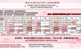 美娜★星艺人型