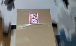 SY布艺人偶开箱，看看有没有惊喜