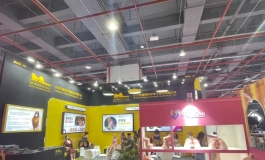 广州展会开始啦！！大家快来找我们玩~美娃都在等你们！