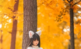 SHEDOLL洛小乙 银杏树林