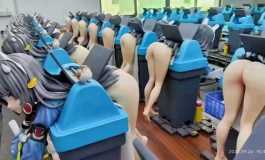 网友们，有没有关于这种二次元娃娃了解？