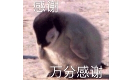 新人第一篇拍照贴，也是第一只硅胶娃娃