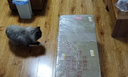 新人开箱 松骨架楚琳小姐姐