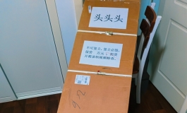 星艺人型铂金170 亚伯兰罕.希薇尔开箱