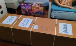 星艺人型铂金170 亚伯兰罕.希薇尔开箱