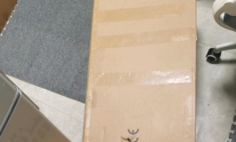 马上过年了，今年带她回家会不会被乱棍打出家门？