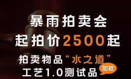 首期暴雨拍卖会，1月26日晚8点，2500起拍