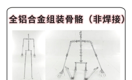 全铝合金零件组装骨骼★星艺人型