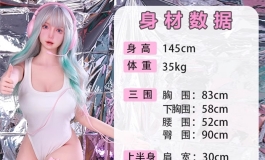 身体数据更新2024★星艺人型