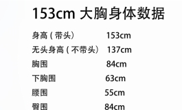 身体数据更新2024★星艺人型