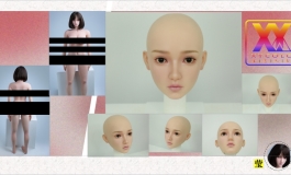 莹★星艺人型
