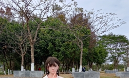 萤火日记