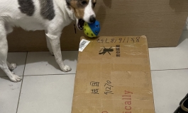 暴雨科技小猫1号开箱