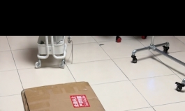 【萤火日记】开箱——我的琉璃公主到家啦