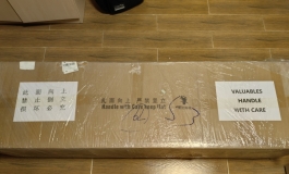 【开箱+评测】物超所值，松骨架抱枕娃，津旺159C普通款