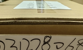 【开箱+评测】物超所值，松骨架抱枕娃，津旺159C普通款
