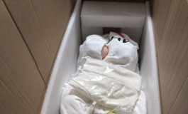 shedoll163楚玥全松