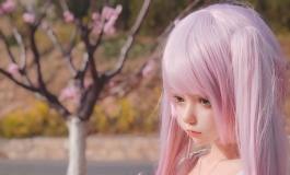 小山坡花开了