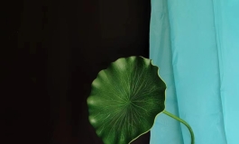 带娃去摄影棚拍涩图，真的很社死啊