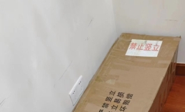 （开箱）劲爽165白露